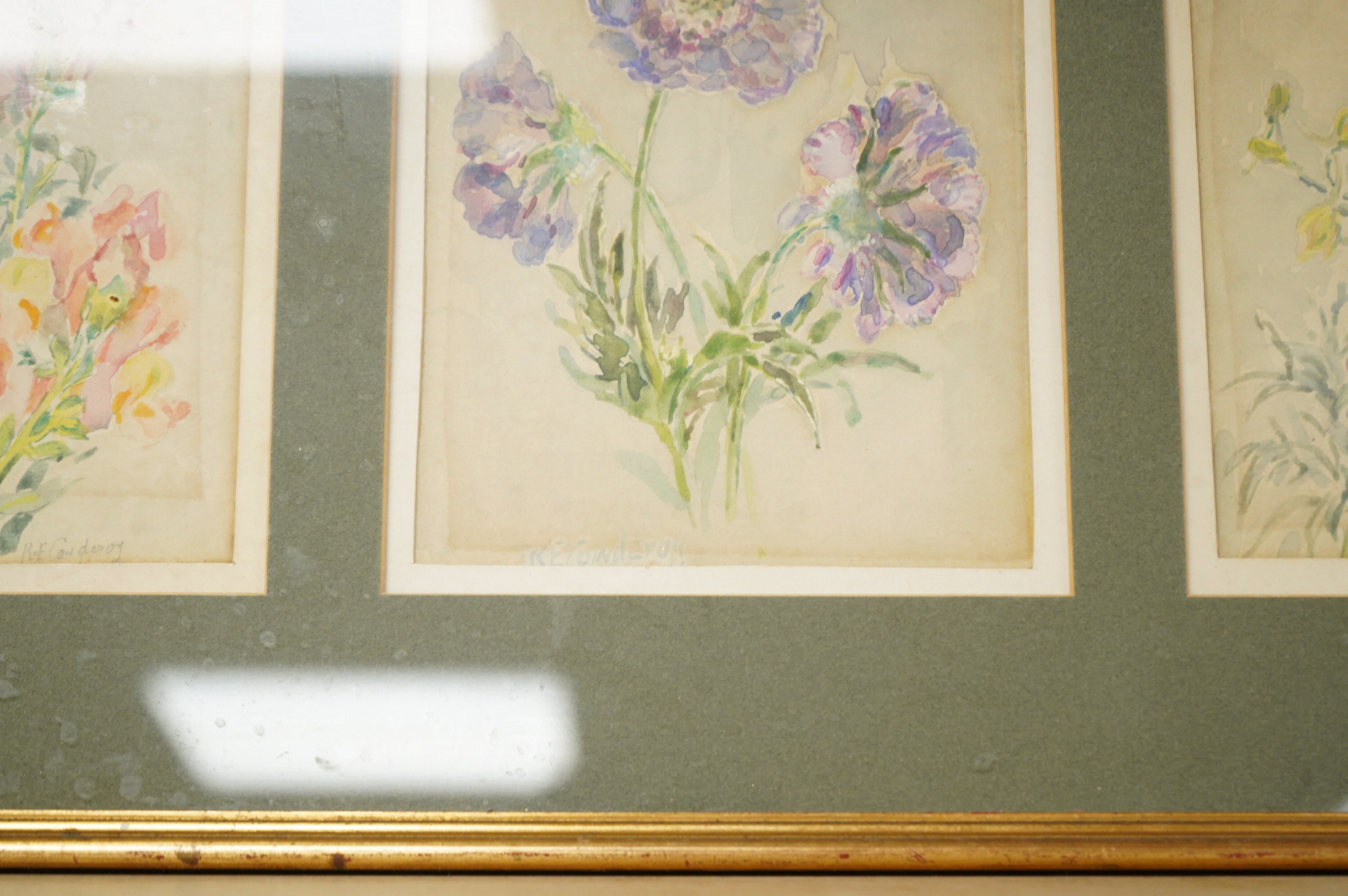 R. E. Cowderoy, Botanical studies, set of three watercolours framed as one, together with a 19th century watercolour of Glengarill, Cork and an oil painting by Sue Broadley, largest 12.5 x 17cm